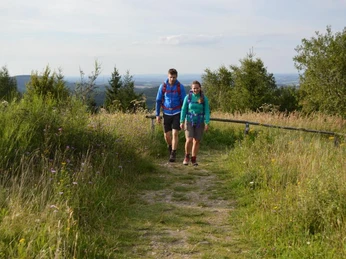 Zwei Wanderer auf einem Naturpfad mit weitem Ausblick, umgeben von Wiesen und Bäumen.