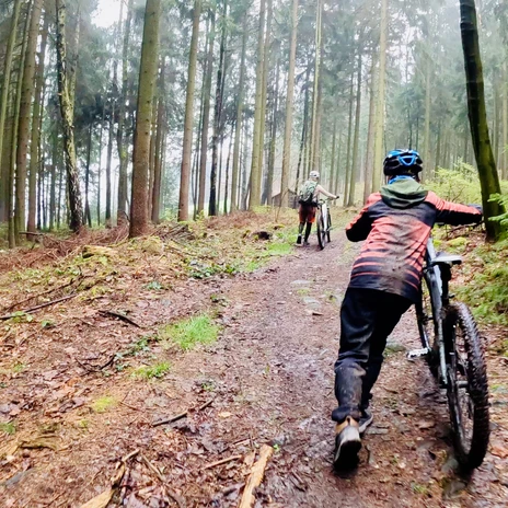 3_Stoneman Miriquidi (c) TMGS_Fravely.jpeg