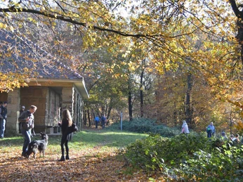 Personen und ein Hund stehen vor einem steinernen Gebäude im herbstlichen Wald, bunte Blätter am Boden.
