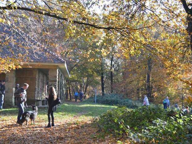 Personen und ein Hund stehen vor einem steinernen Gebäude im herbstlichen Wald, bunte Blätter am Boden.