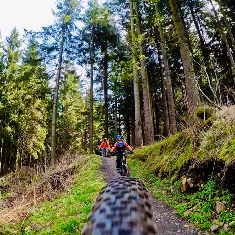 7_Stoneman Miriquidi (c) TMGS_Fravely.jpeg