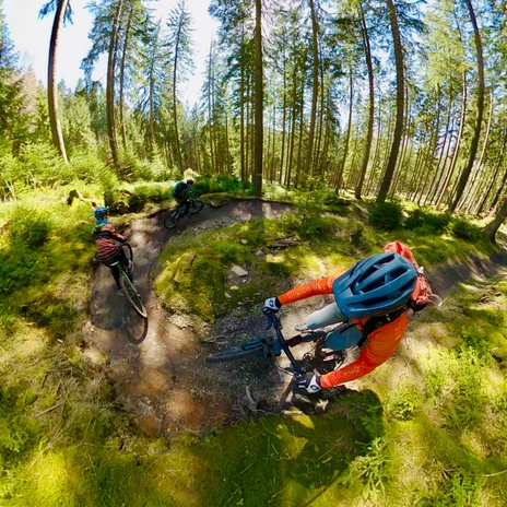 6_Stoneman Miriquidi (c) TMGS_Fravely.jpeg