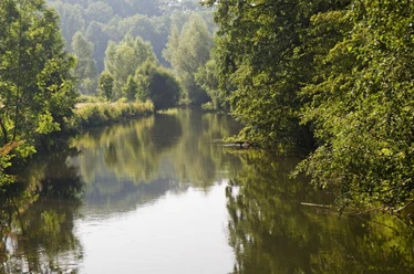 Ein ruhiger Flusslauf, gesäumt von dichtem Grün, reflektiert die umliegende Naturlandschaft.