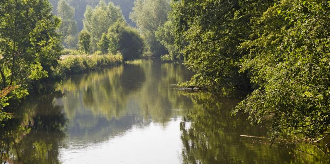 Ein ruhiger Flusslauf, gesäumt von dichtem Grün, reflektiert die umliegende Naturlandschaft.