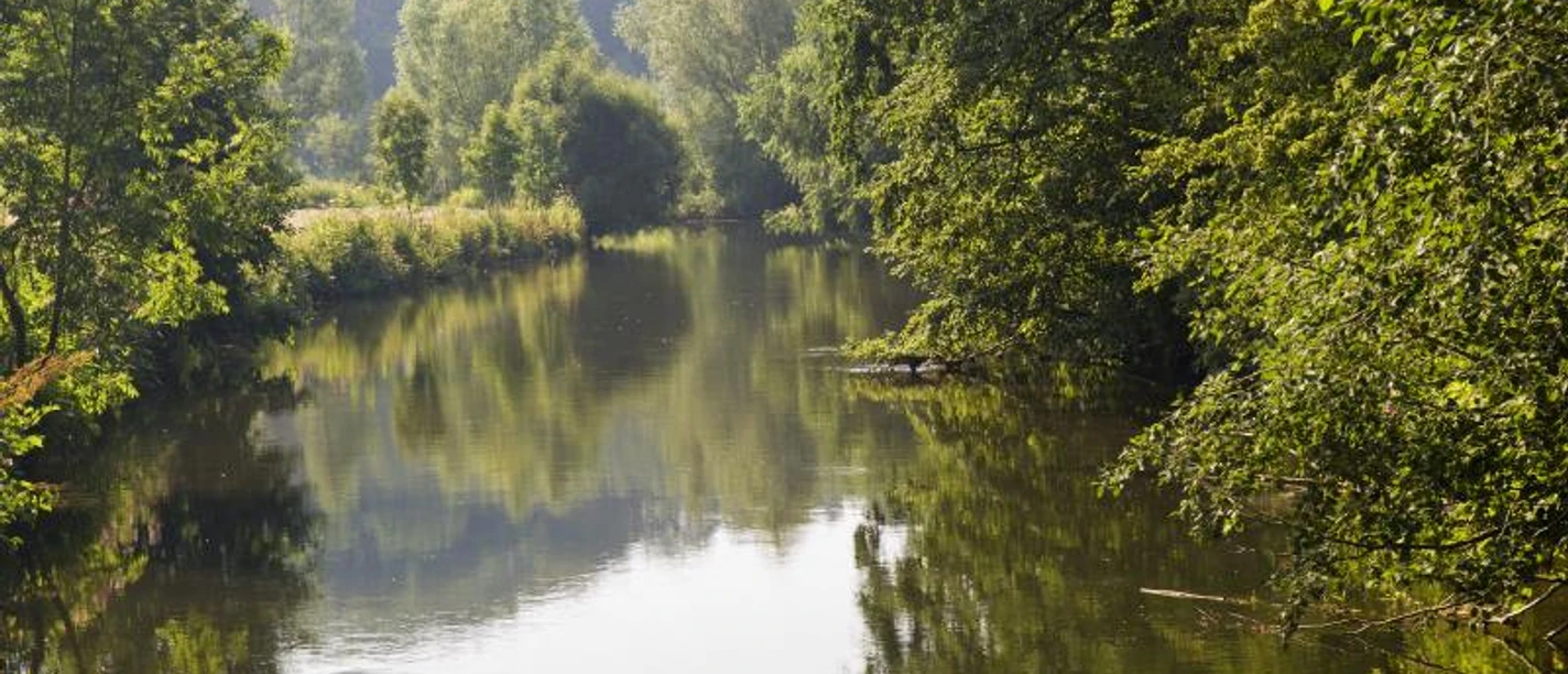 Ein ruhiger Flusslauf, gesäumt von dichtem Grün, reflektiert die umliegende Naturlandschaft.