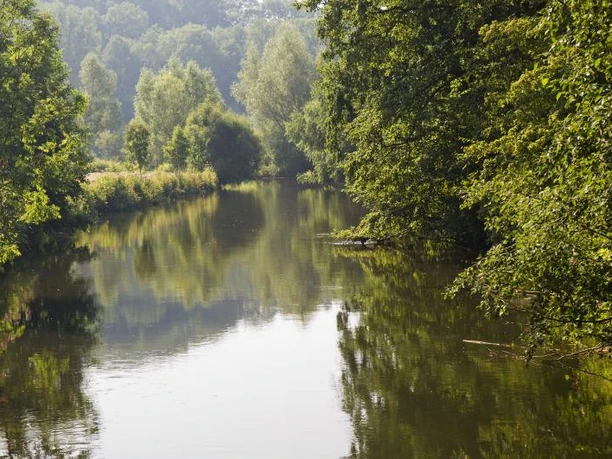 Ein ruhiger Flusslauf, gesäumt von dichtem Grün, reflektiert die umliegende Naturlandschaft.