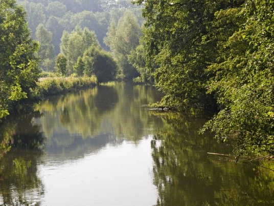 Durch den Menschen veränderter Diemellauf Ein ruhiger Flusslauf, gesäumt von dichtem Grün, reflektiert die umliegende Naturlandschaft.