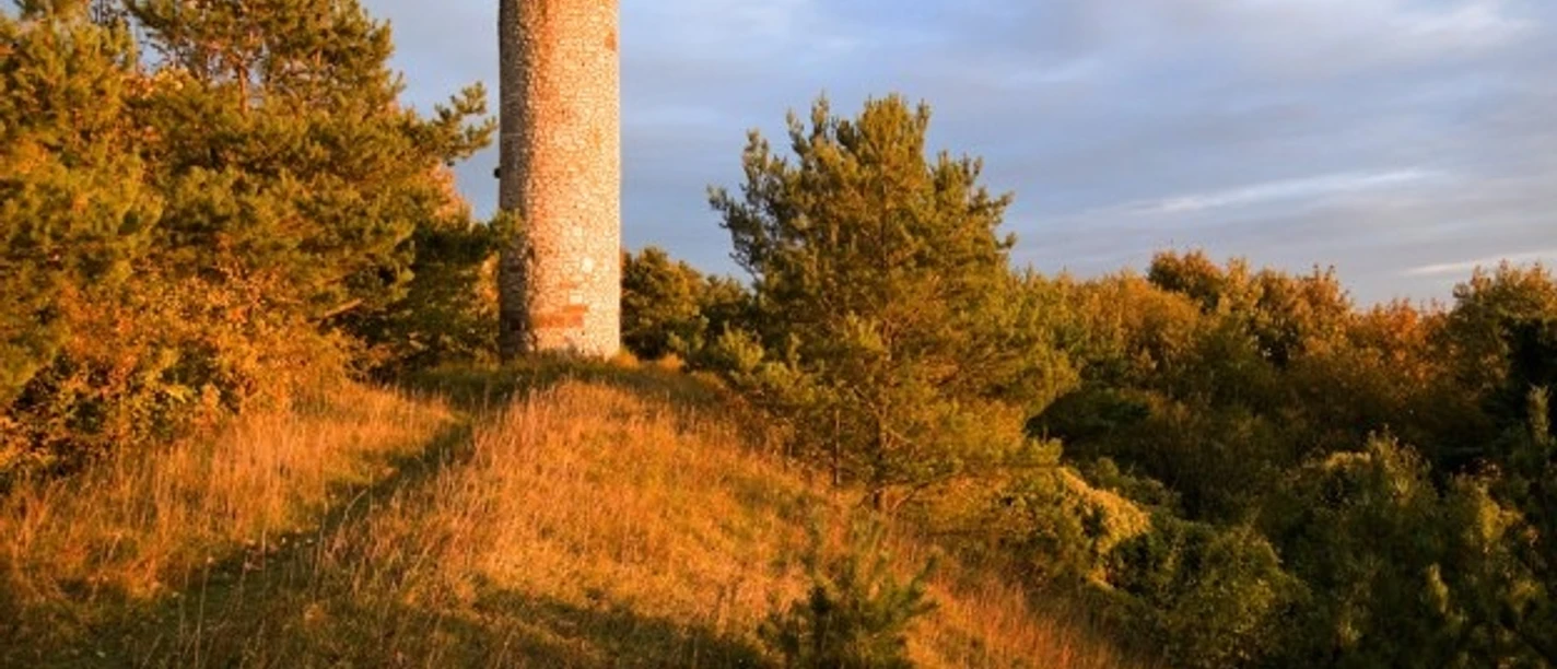 Ein runder Steinturm steht umgeben von grünem Laubwerk auf einem Hügel bei warmem Abendlicht.
