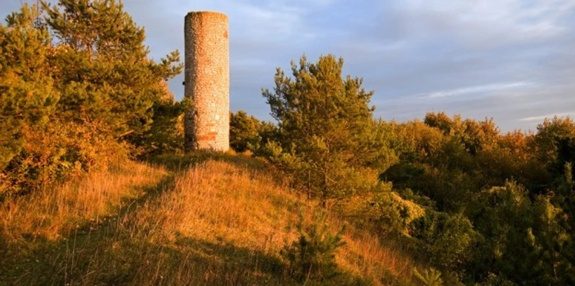 Ein runder Steinturm steht umgeben von grünem Laubwerk auf einem Hügel bei warmem Abendlicht.