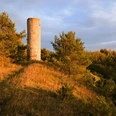 Abendstimmung am Heinturm Ein runder Steinturm steht umgeben von grünem Laubwerk auf einem Hügel bei warmem Abendlicht.