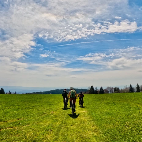 9_Stoneman Miriquidi (c) TMGS_Fravely.jpeg