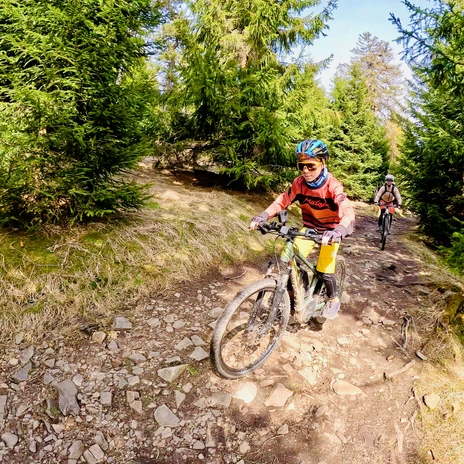 10_Stoneman Miriquidi (c) TMGS_Fravely.jpeg