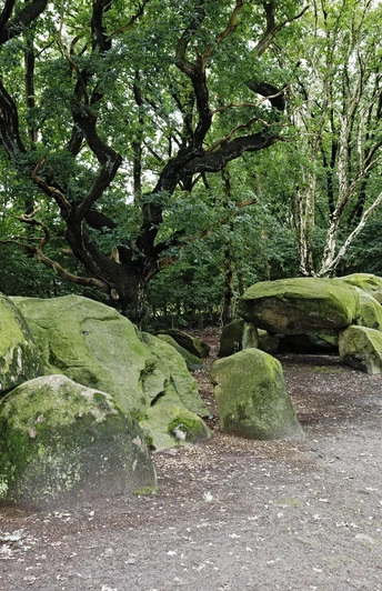 Strasse der Megalithkultur Bruneforths Esch