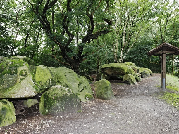 Strasse der Megalithkultur Bruneforths Esch