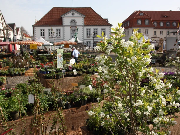 Marktplatz Quakenbrück