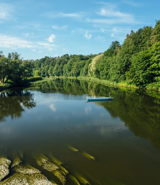 Höfgen_Gierseilfähre_12 (c) TMGS_CzechVibes.jpg