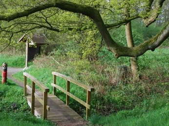 5304_7_burgplatzmansingen