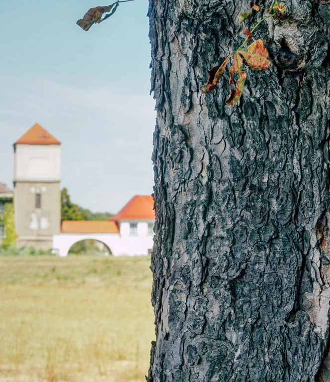 Mulderadweg Zeichen_CC_BY_SA (c) Radelmaedchen_Juliane_Schumacher.jpg