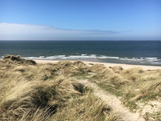Dünen-Meerblick am Ellenbogen