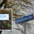 Samuel-Jacobs-Platz