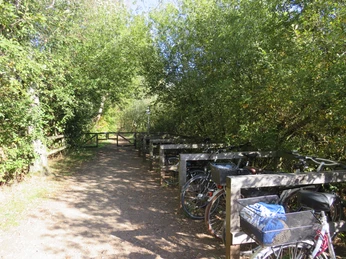 Fahrräder parken entlang eines schattigen Waldwegs mit Sicht auf bewaldete Umgebung und Holzzaun.