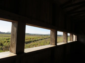Beobachtungshütte mit Blick durch vier Fenster auf eine weite, grüne Landschaft unter klarem Himmel.