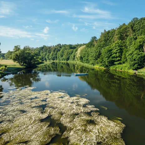 Höfgen_Gierseilfähre_13 (c) TMGS_CzechVibes.jpg