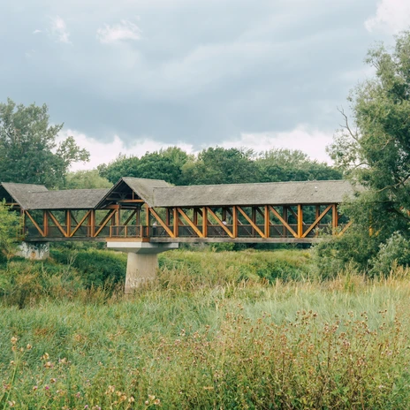 Mulderadweg Dessau Jagdbrücke _CC_BY_SA (c) Radelmaedchen_Juliane_Schumacher.jpg