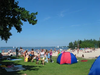 Strandleben auf der Badeinsel Mehrere Personen genießen sommerliche Aktivitäten auf einer grünen Wiese nahe einem sandigen Strand.