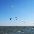 Kitesurfer gleiten an einem sonnigen Tag über das Wasser, prächtige Drachen tanzen am klaren Himmel.
