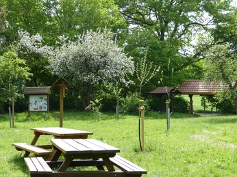 Streuobstwiese am Moorbahnhof in Westerbeck in der Südheide Gifhorn Streuobstwiese mit Sitzbänken am Moorbahnhof in Westerbeck in der Südheide GifhornOrchard meadow with benches at the moor railway station in Westerbeck in the Südheide GifhornFrugtplantage med bænke ved hedejernbanestationen i Westerbeck i Südheide GifhornBoomgaardweide met bankjes bij het veenstation in Westerbeck in Südheide Gifhorn