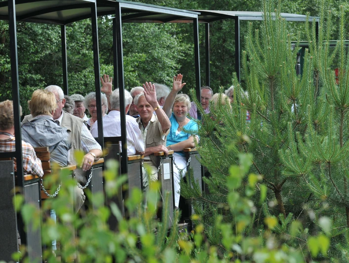Gruppe auf Moorbahntour ins Große Moor in Westerbeck Gruppe auf Moorbahntour ins Große Moor in Westerbeck