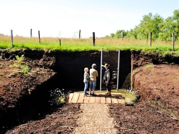 bodenstation-moor-kayhausen-gaestefuehrer Besucher begutachten eine Moorprofilwand in einer torfigen, naturnahen Landschaft.