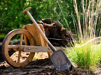schippe-und-schubkarre-zum-torfstechen Eine hölzerne Schubkarre steht in der Sonne, gefüllt mit geschnittenen Torfsoden. Daneben eine Schippe.