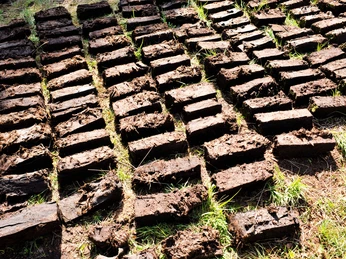 torfsoden-zwischenahner-moor Sorgfältig aufgeschichtete Torfsoden im Sonnenlicht, die im Zwischenahner Moor getrocknet werden. Dazwischen wächst helles Gras.