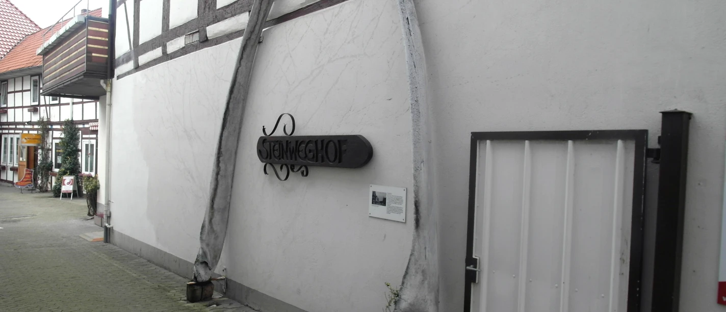 Walkiefer im Steinweg Walkiefer an einer Wand in einer Seitenstraße der Gifhorner Innenstadt