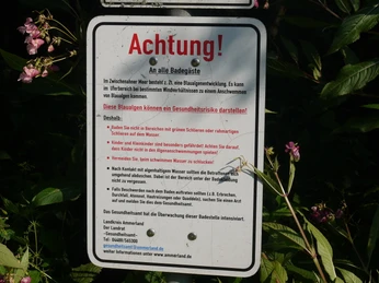 blaualgen-warnschild