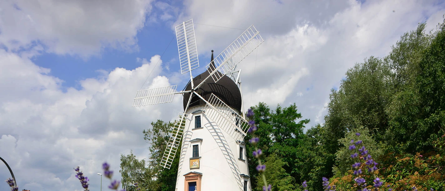 Gifhorner Hochzeitsmühle Lady Devorgilla Udsigt til den hvide bryllupsmølle Lady Devorgilla i Gifhorn