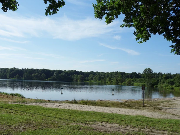 nichtschwimmerbereich Ein idyllischer See mit sanftem Sandstrand, umrahmt von üppigen, grünen Bäumen unter blauem Himmel.