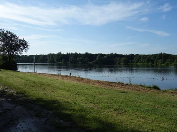 bank-und-liegewiese-am-nichtschwimmerbereich Grüne Liegewiese am Seeufer mit Schatten spendendem Baum, ideal zum Entspannen und Genießen.