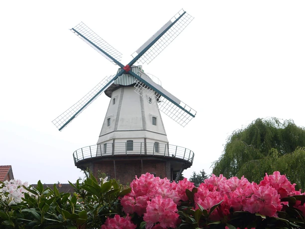 muehle-ekern-aussenansicht