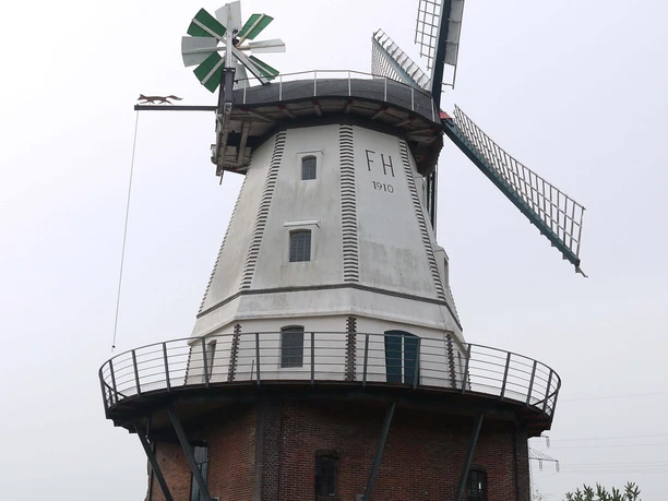 muehle-ekern-plattform