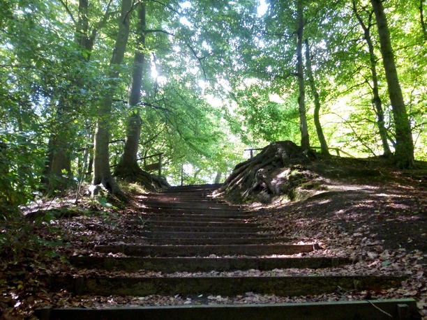 elmendorfer-burg-treppe