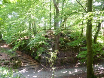 elmendorfer-burg-ansicht