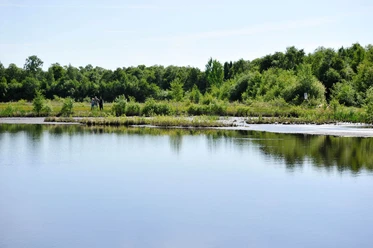 engelsmeer-kayhausen-blick-aufs-wasser