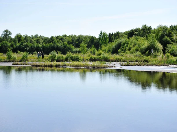 engelsmeer-kayhausen-blick-aufs-wasser