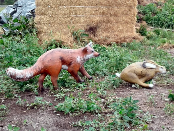 Szene im Bogenschießparcours Szene im Bogenschießparcours bei ARTchers Land in der Südheide Gifhorn