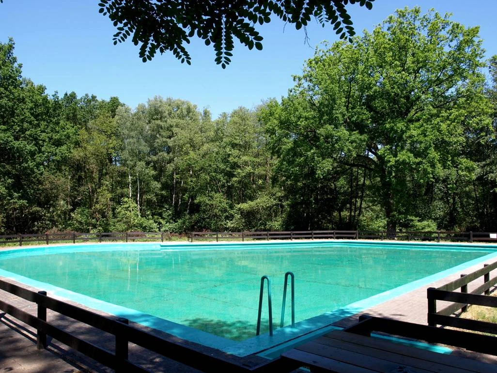 Schwimmbecken Freibad Steinhorst Schwimmbecken im Freibad Steinhorst in der Südheide Gifhorn