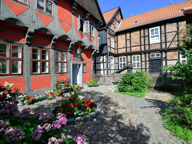 Garten am Kavalierhaus Blühende Blumen im Garten des Gifhorner Kavalierhaus