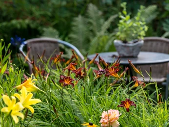 garten-stolle-wiefelstede-3_quer Ein idyllischer Garten mit bunten Lilien und einem runden Tisch vor zwei Rattanstühlen lädt ein.